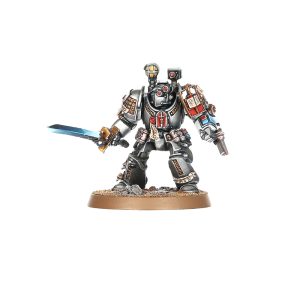 Grey Knights Paladins