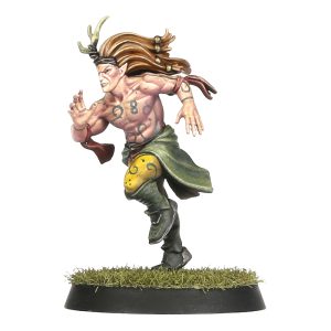 Wood Elf Blood Bowl Team – Athelorn Avengers