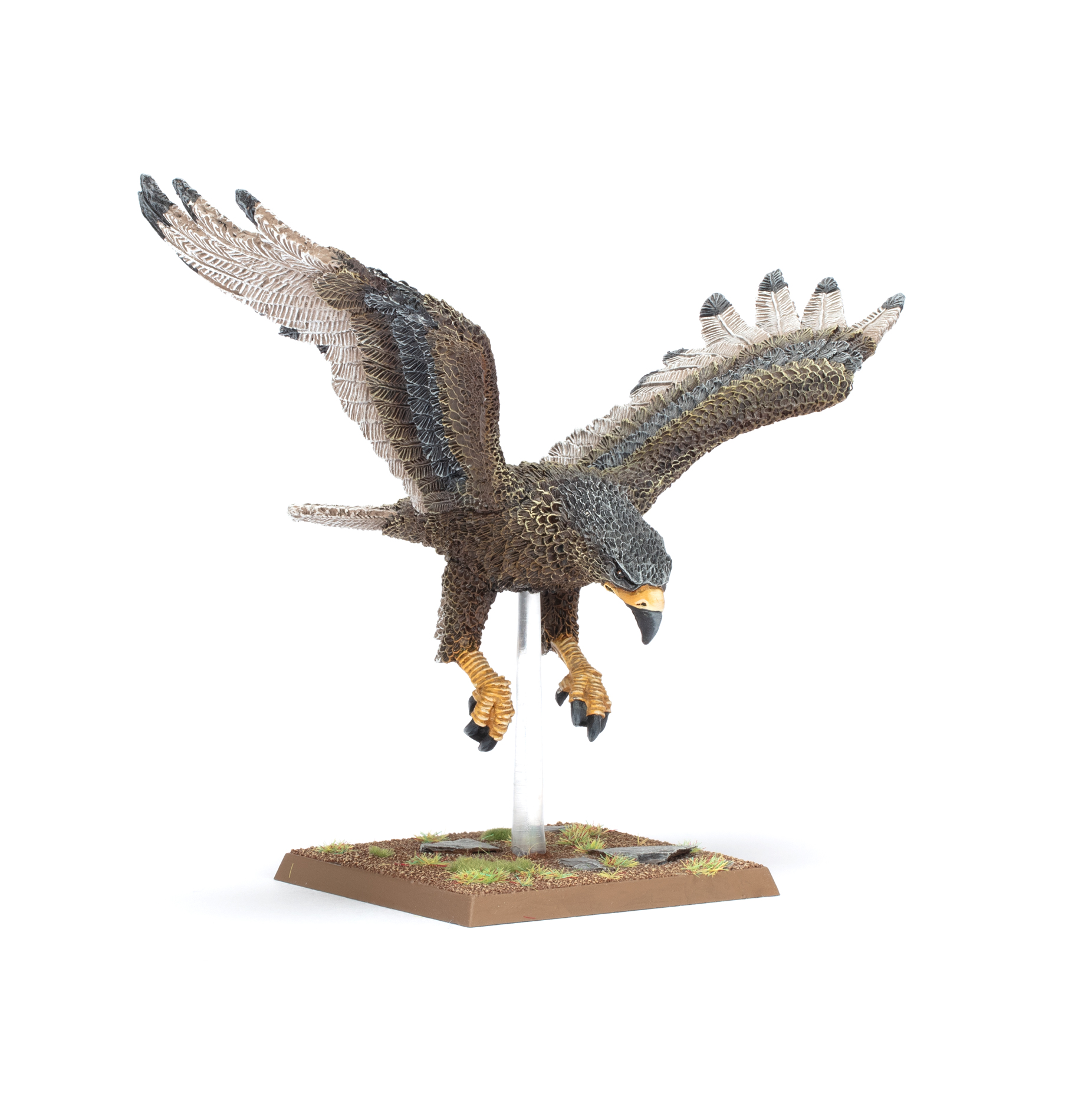 99112710014_WHtOWHighElfRealmsGreatEagle1-1