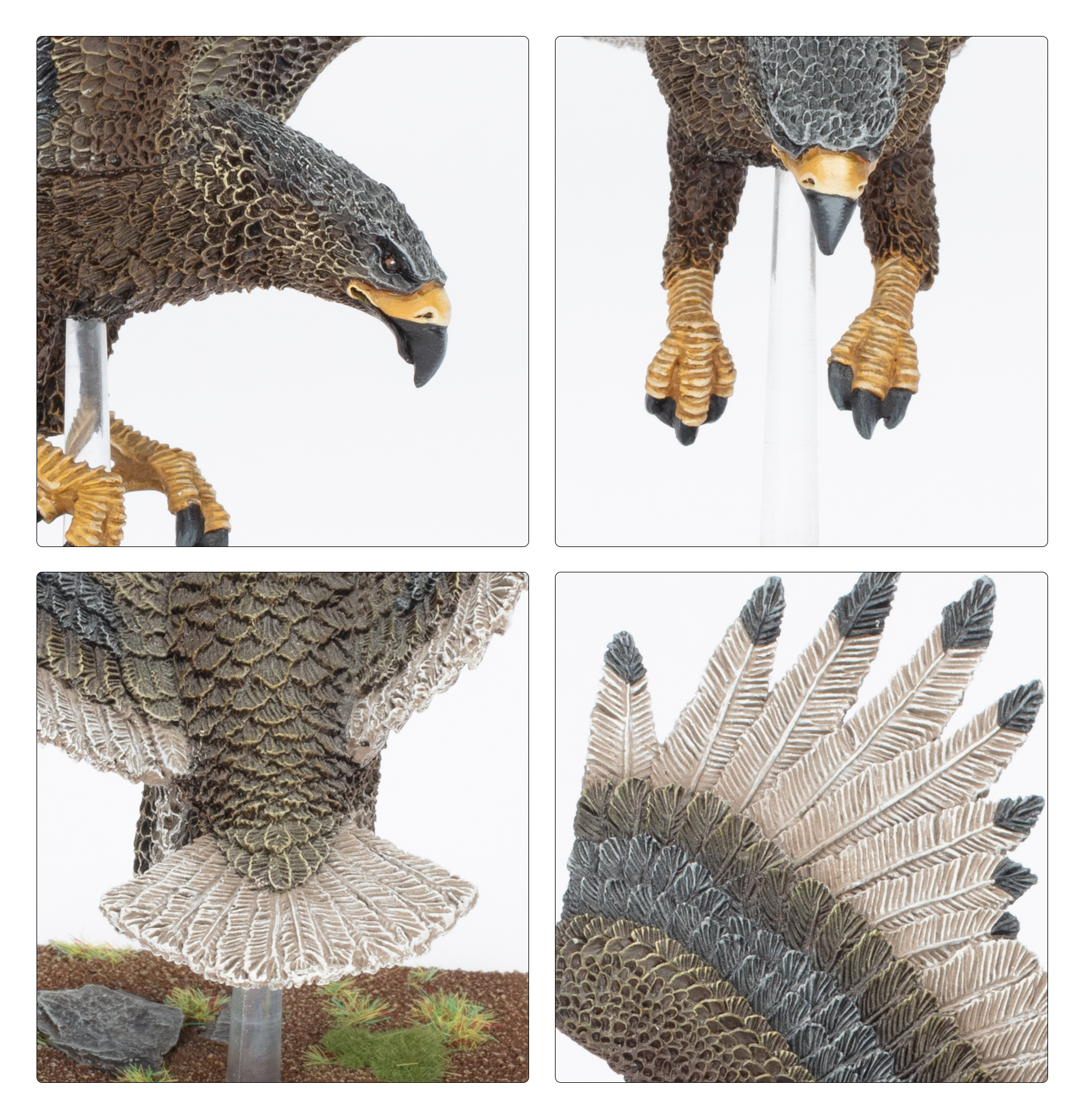 99112710014_WHtOWHighElfRealmsGreatEagle2-1