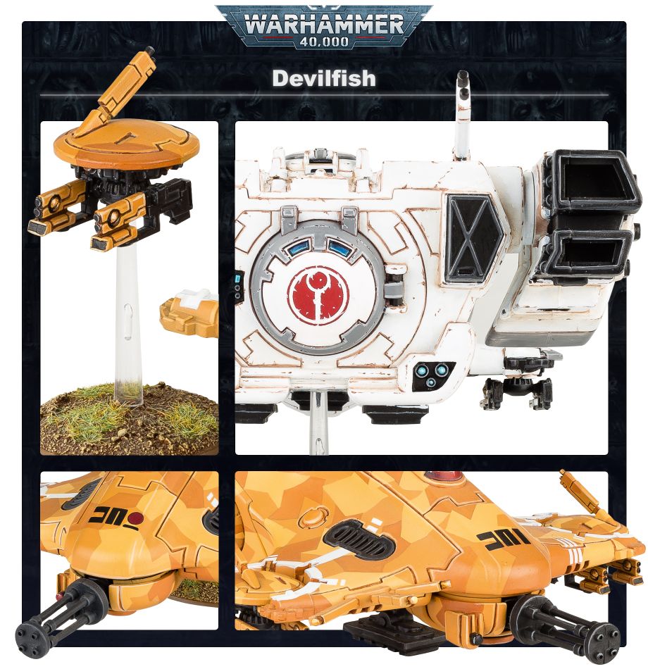 99120113074_TAUDevilfishFeature-1