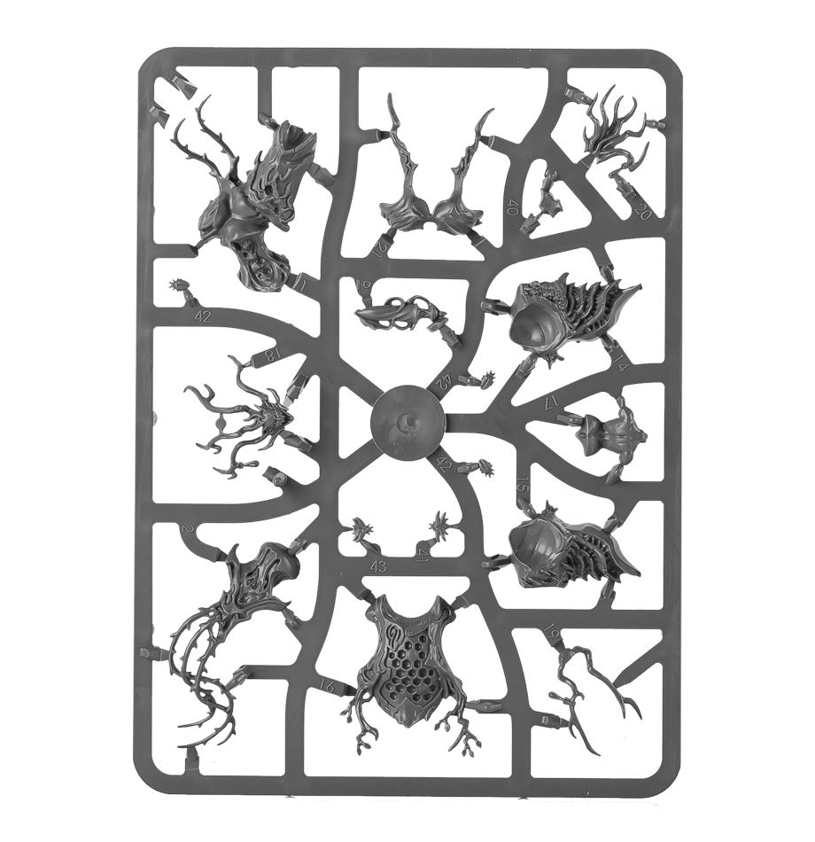 99120204017_DrycaHamadreth07-1