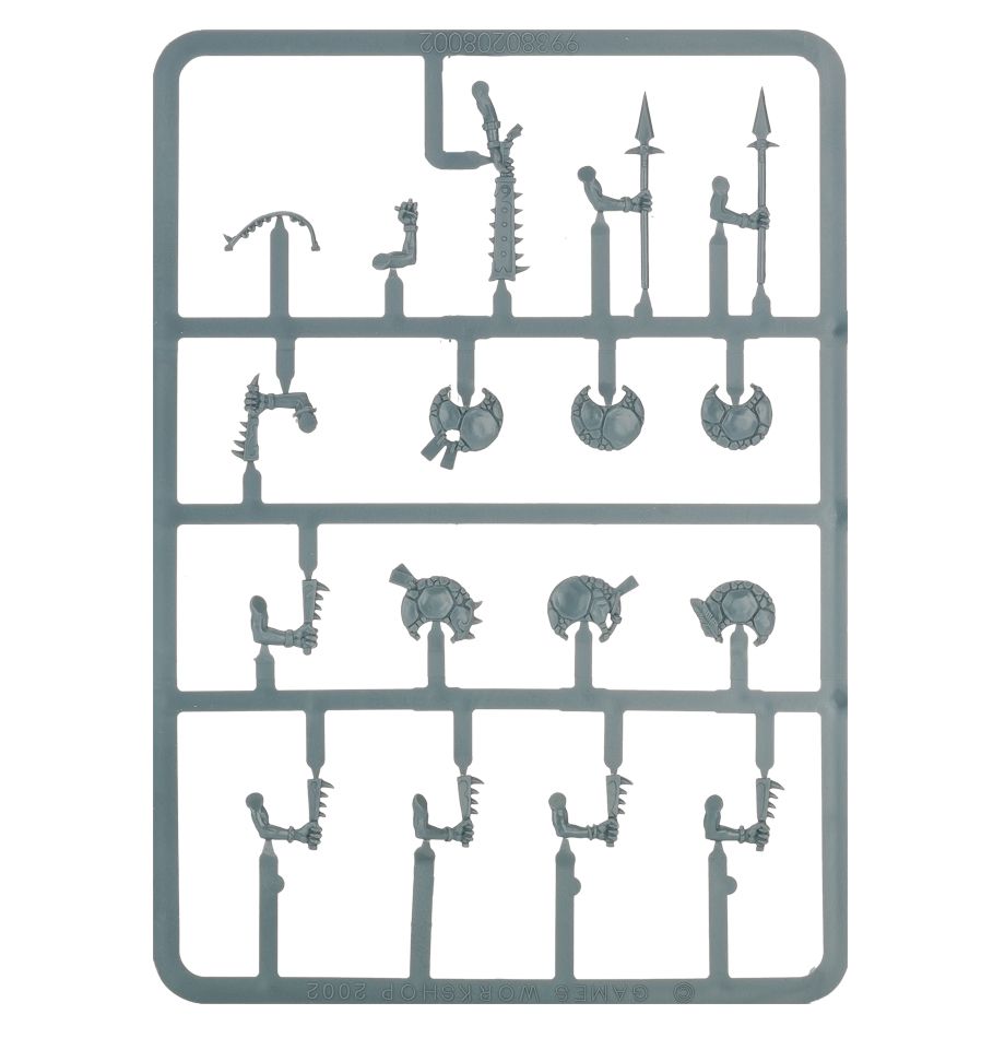 99120208014_SeraphonSkinks04