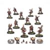 Bretonnian Blood Bowl Team: The Brionne Barons