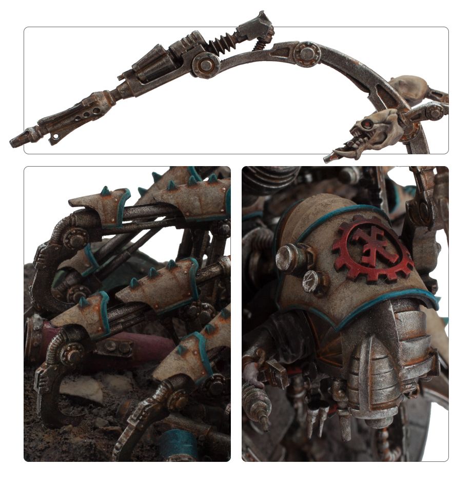 99560102293_AnacharisScoria02-2