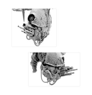 Greater Blight Drone