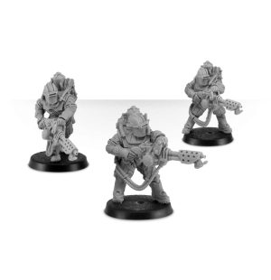 Solar Auxilia Flamer Section