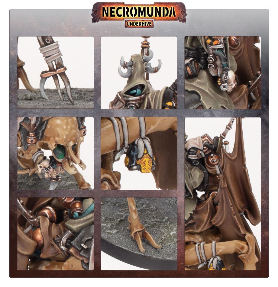 99850599067_WytariStormcallerFeature1