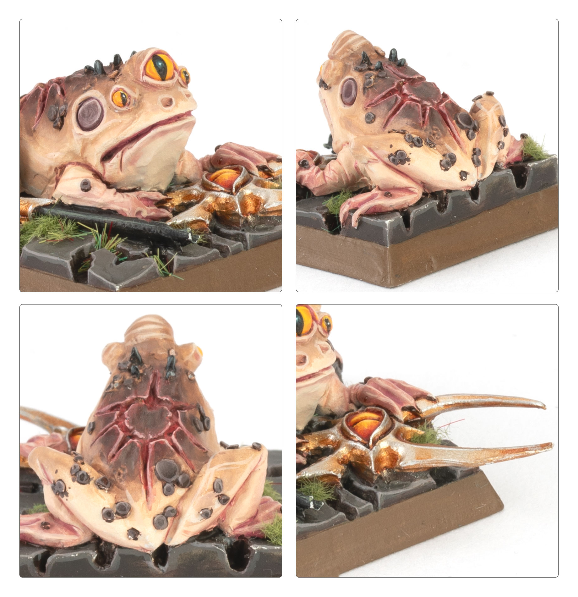 99852702005_EmpireofManArcaneFrogs3-5